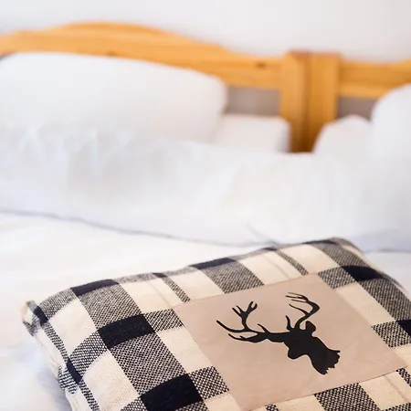 Hotel Marmotte Saas Fee
