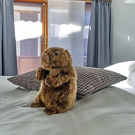 Marmotte Saas-Fee