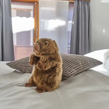 Marmotte